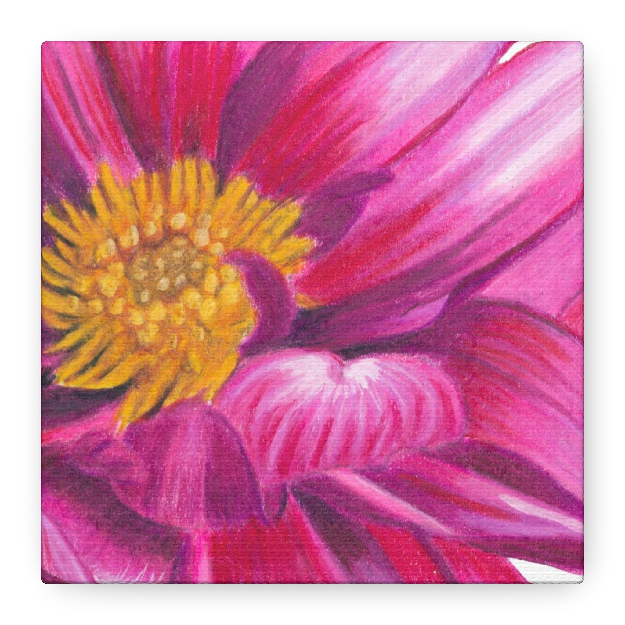 Pink Dahlia Canvas Print (6"x6")