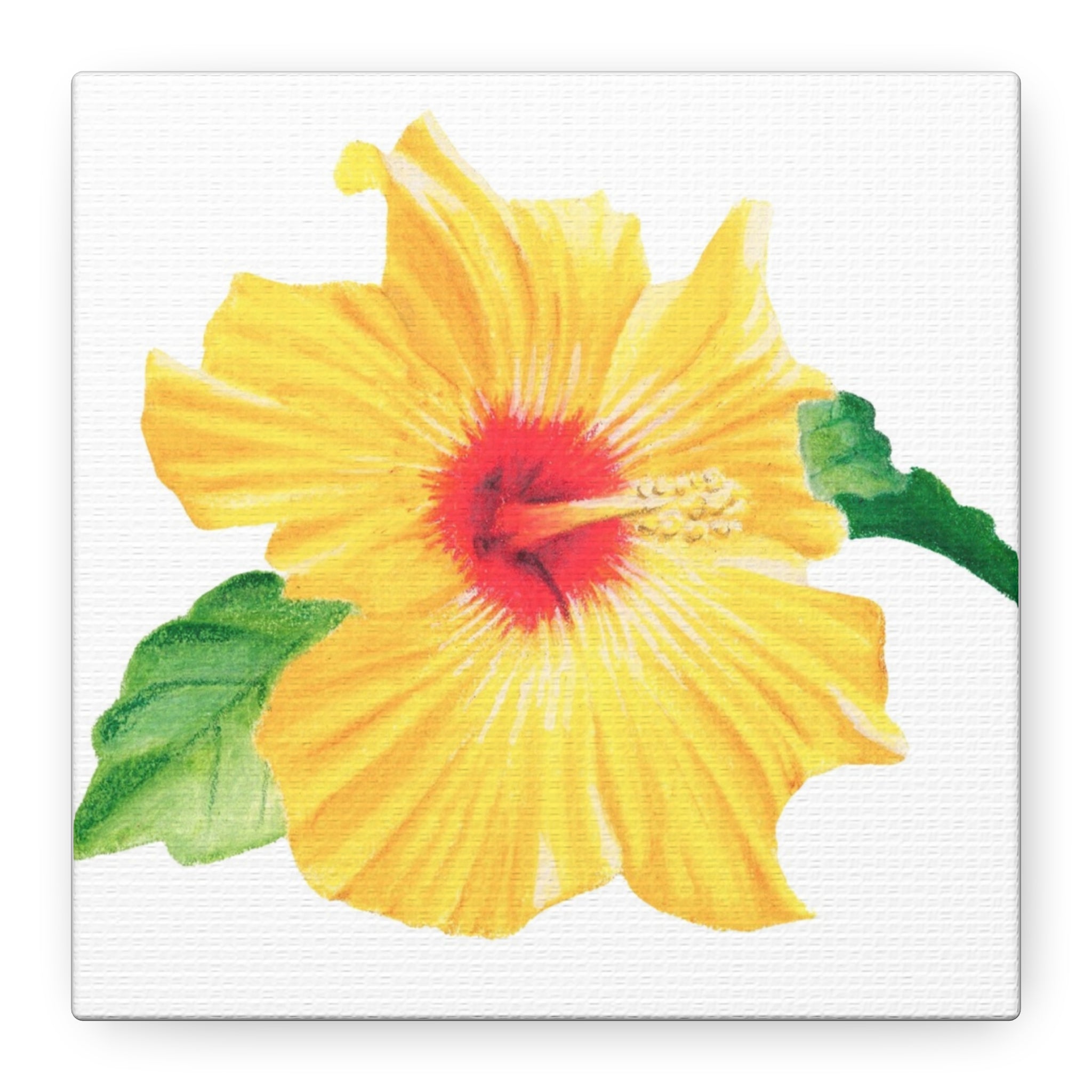 Yellow Hibiscus Canvas Print (6"x6")