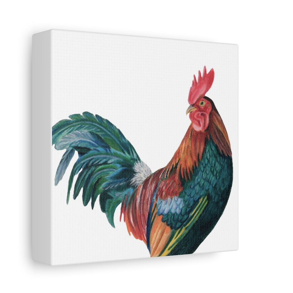 Rooster Canvas Print (6"x6")