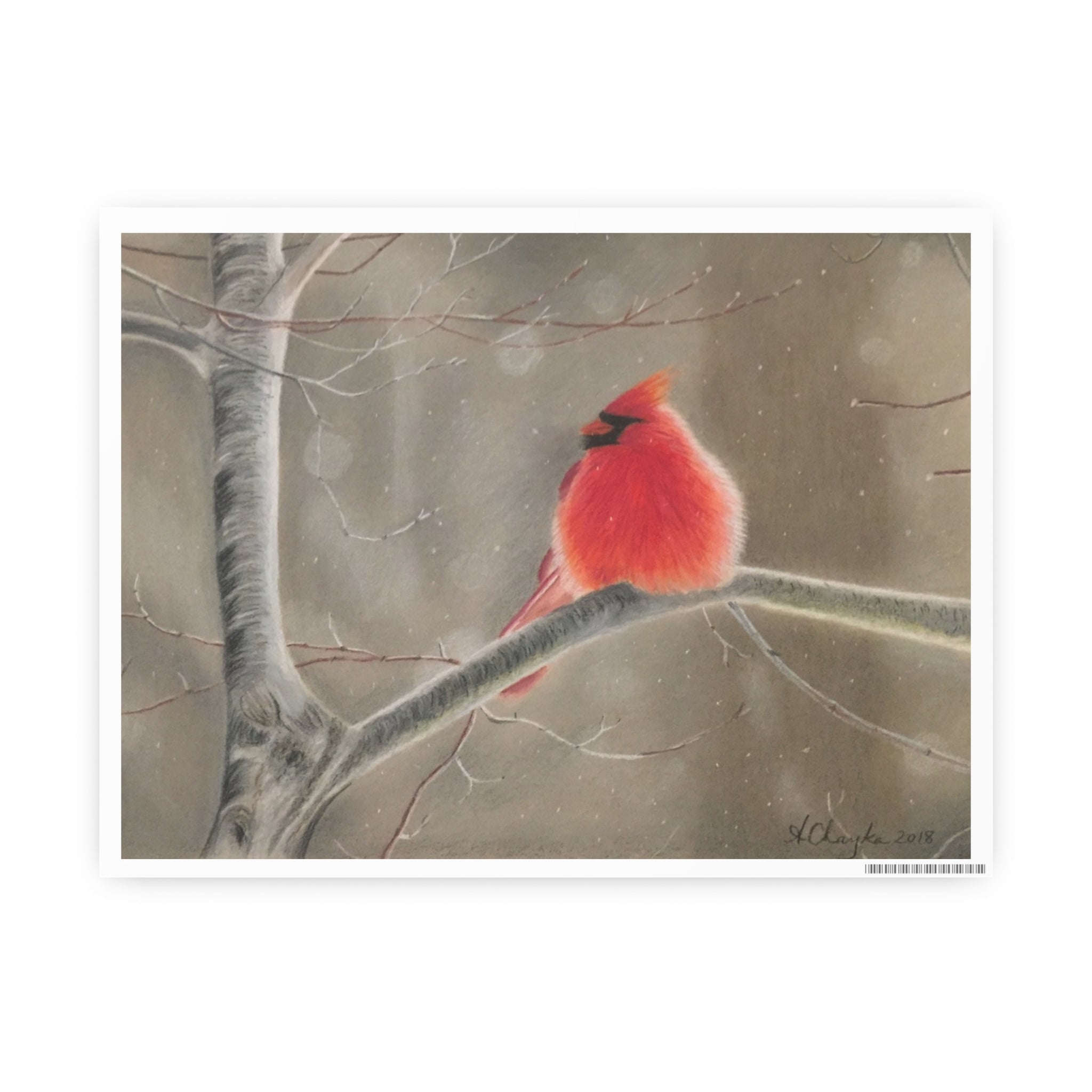 Red Cardinal Art Print (8"x6")