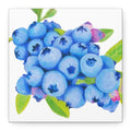 Blueberry Canvas Print (6"x6")