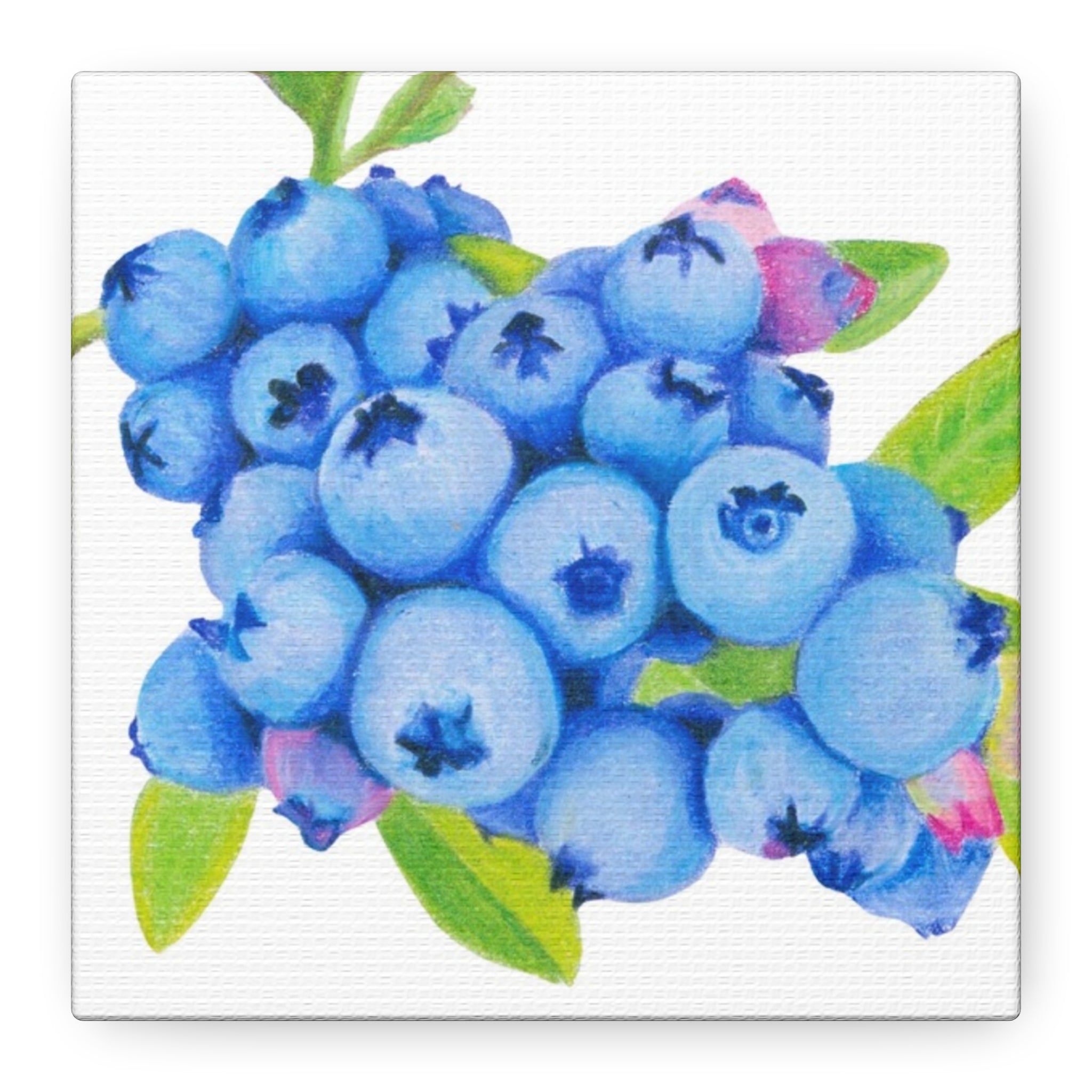 Blueberry Canvas Print (6"x6")