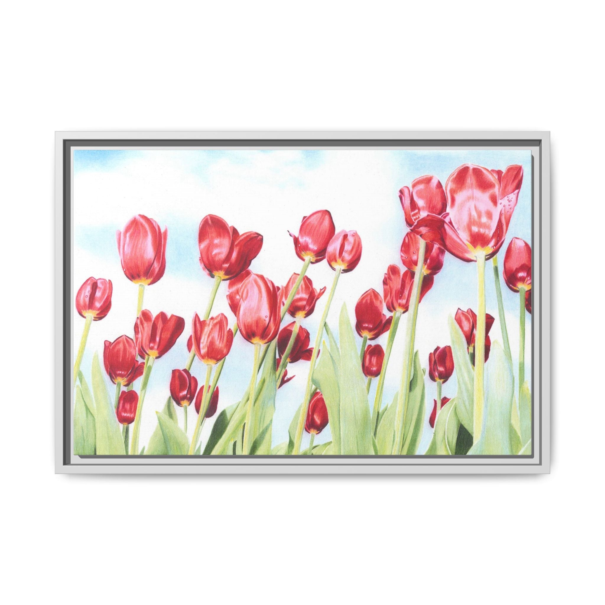 Red Tulips