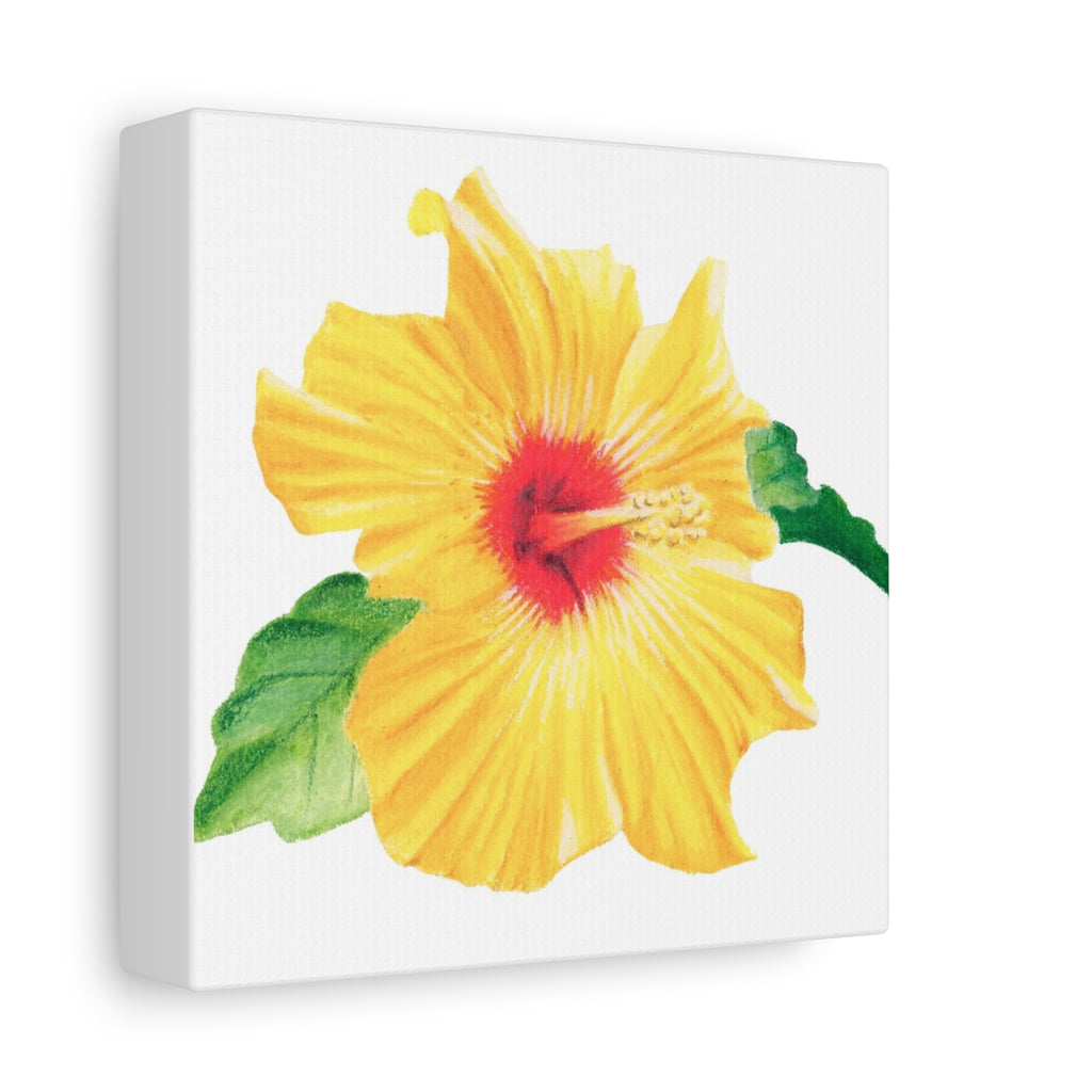 Yellow Hibiscus Canvas Print (6"x6")