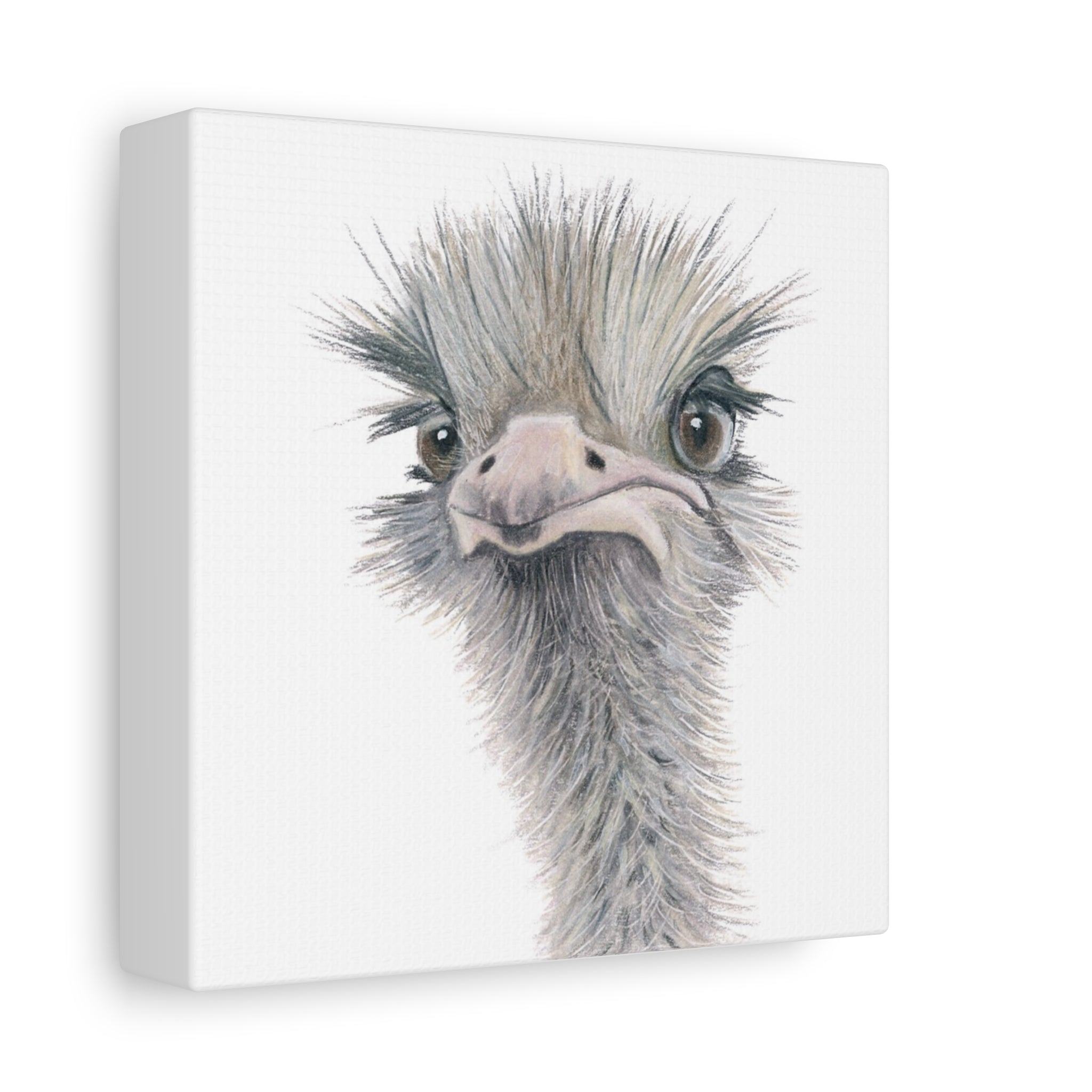 Ostrich Canvas Print (6"x6")