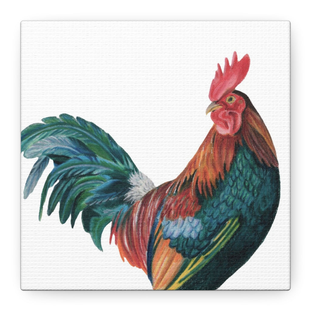 Rooster Canvas Print (6"x6")