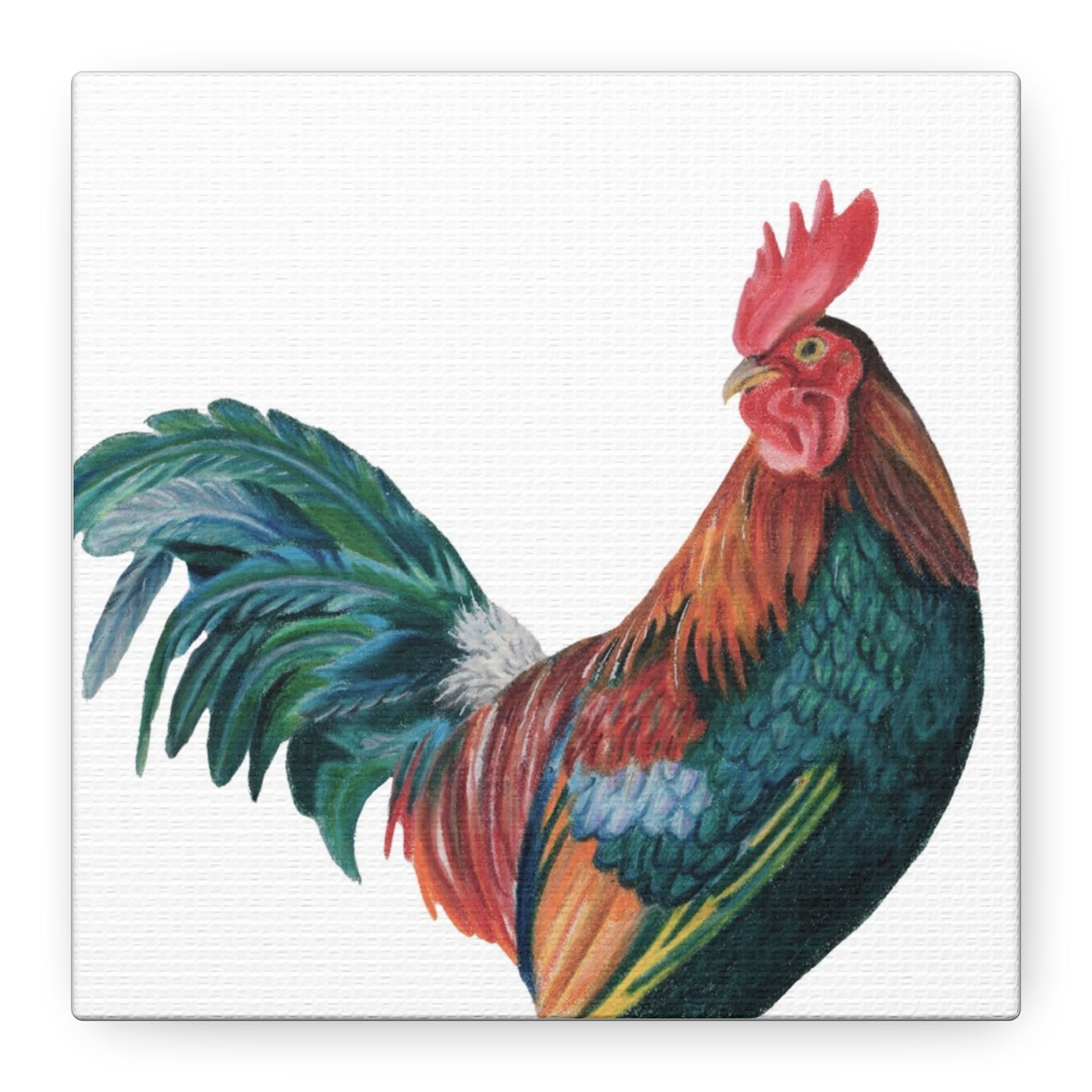 Rooster Canvas Print (6"x6")