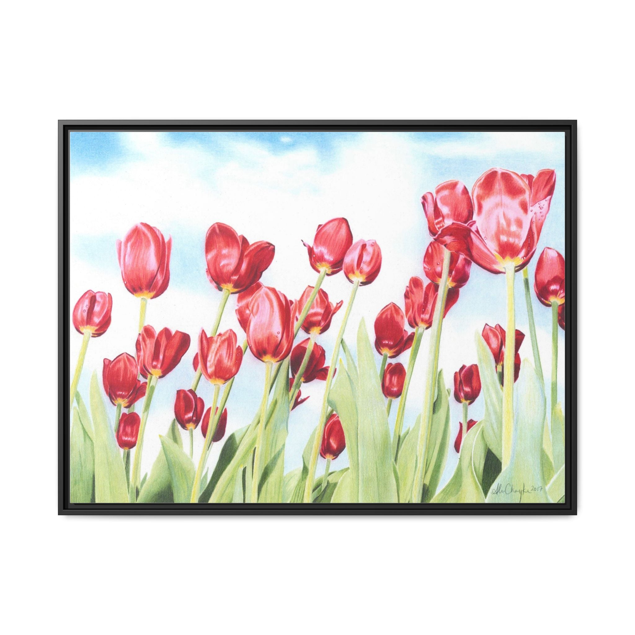 Red Tulips