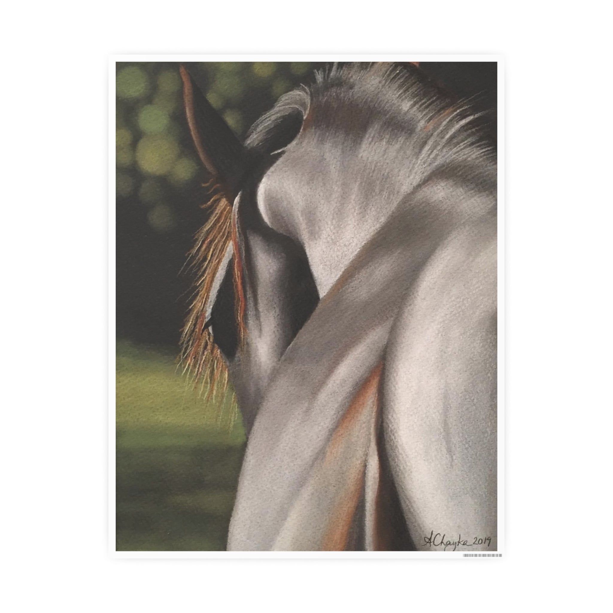 Friesan Mare Art Print (11"x14")