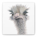 Ostrich Canvas Print (6"x6")