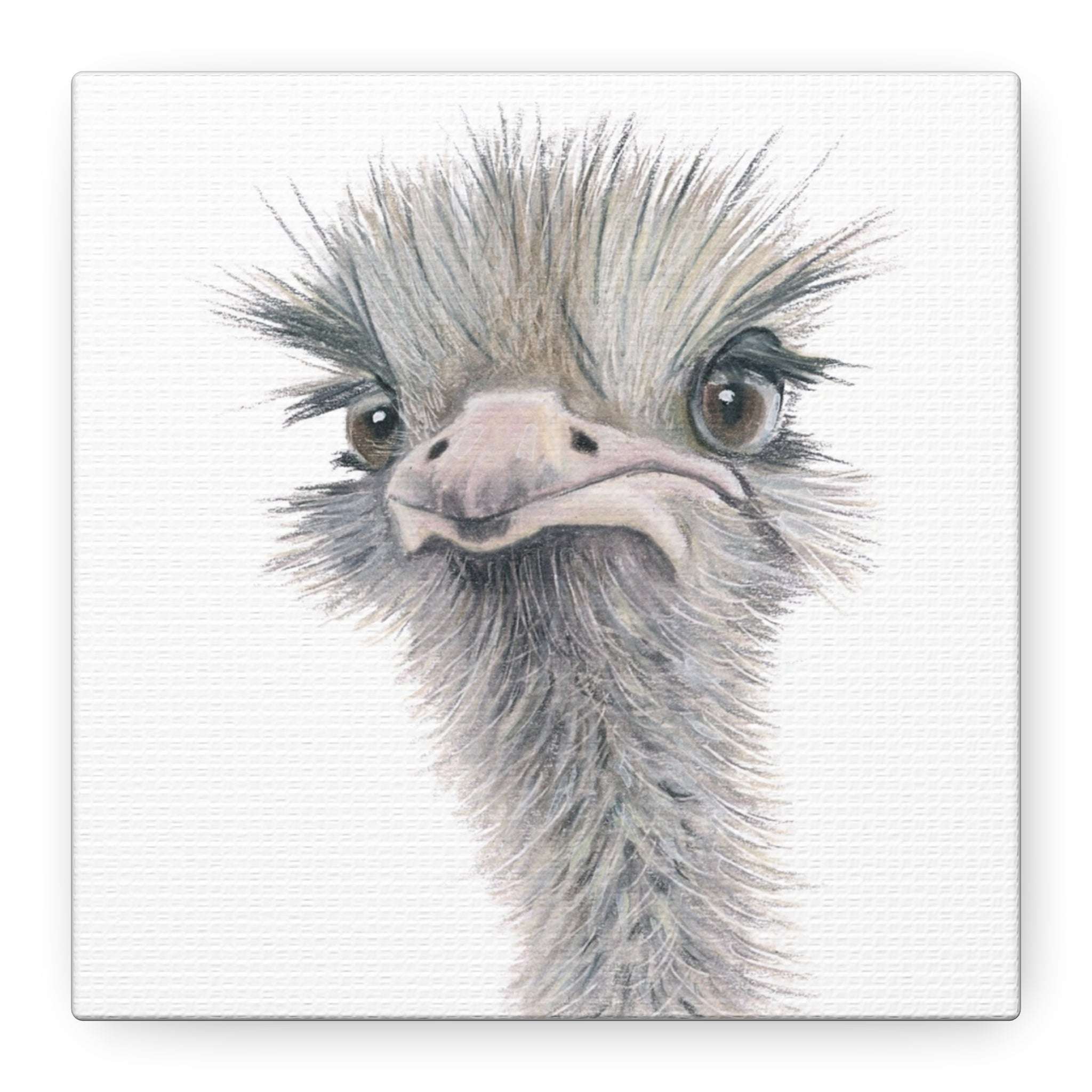 Ostrich Canvas Print (6"x6")