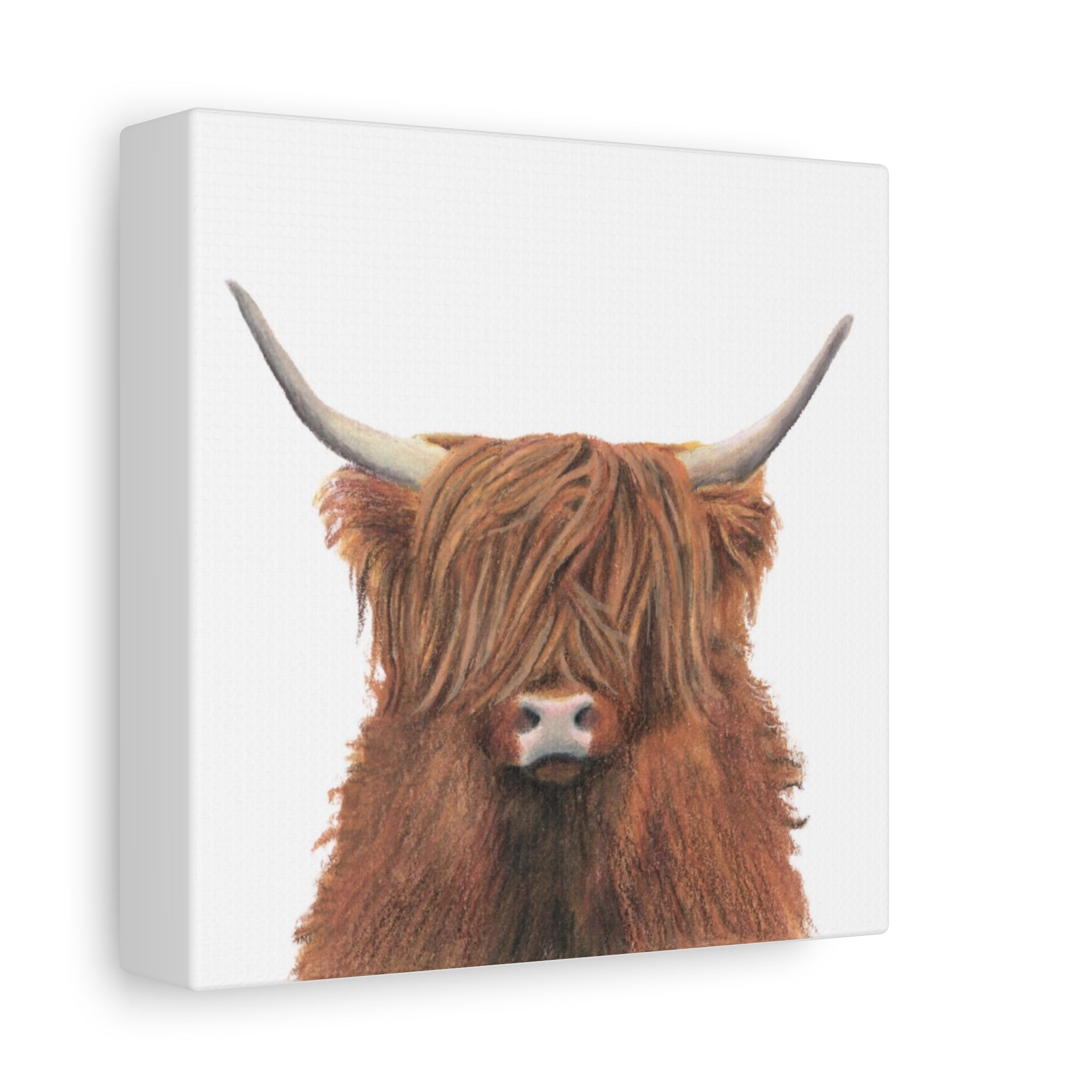 Highland Cow Canvas Print (6"x6)
