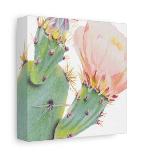 Cactus Canvas Print (6"x6")