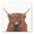 Highland Cow Canvas Print (6"x6)
