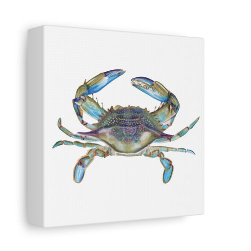Blue Crab