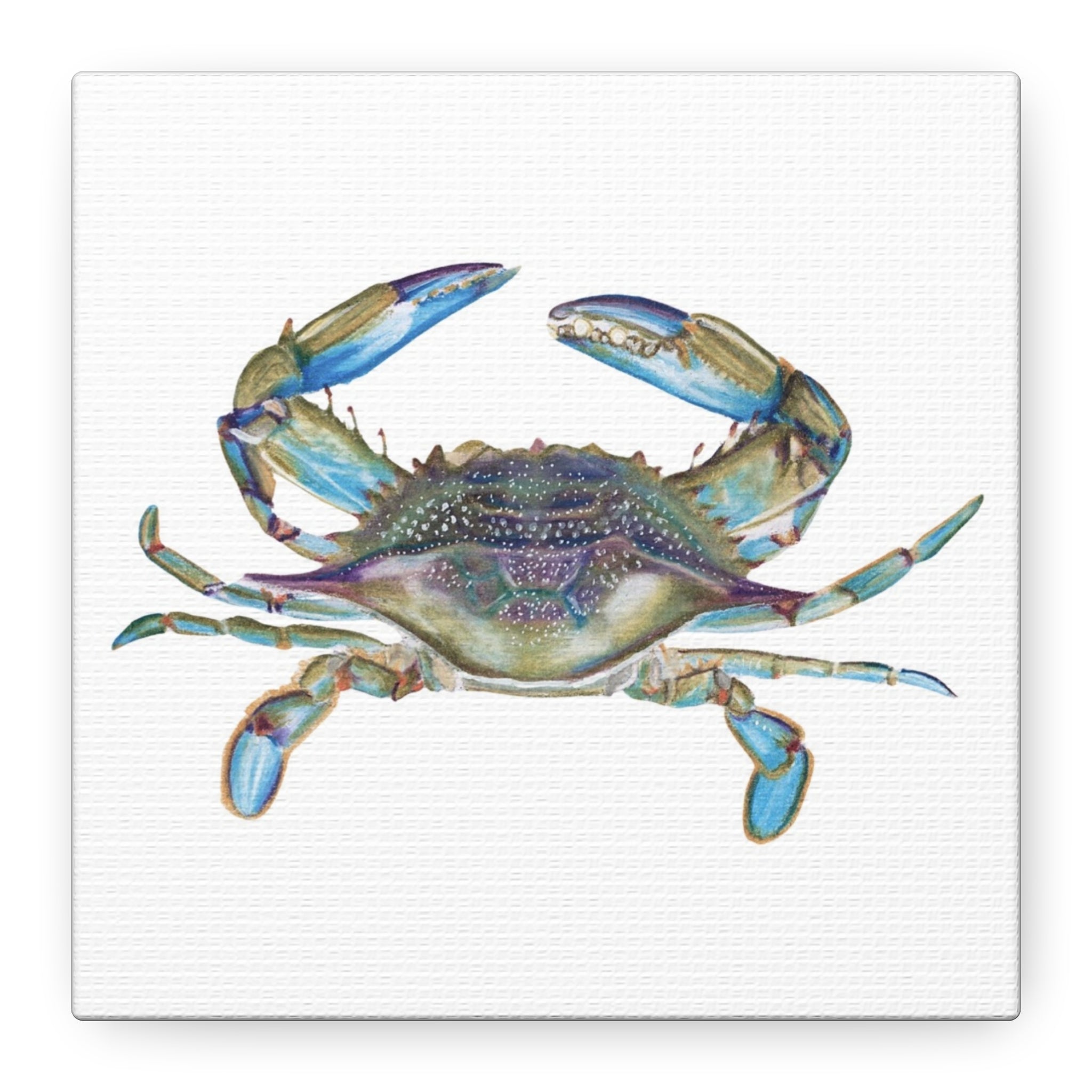 Blue Crab