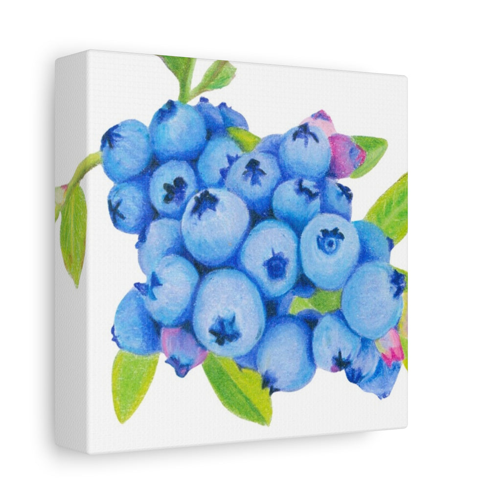 Blueberry Canvas Print (6"x6")